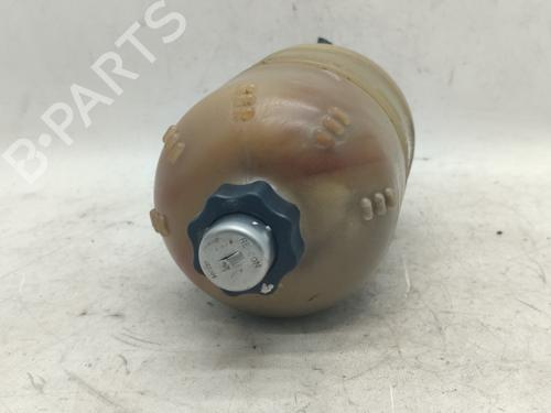 Used Expansion tank RENAULT 4 (112_) [1962-1993]  16656825
