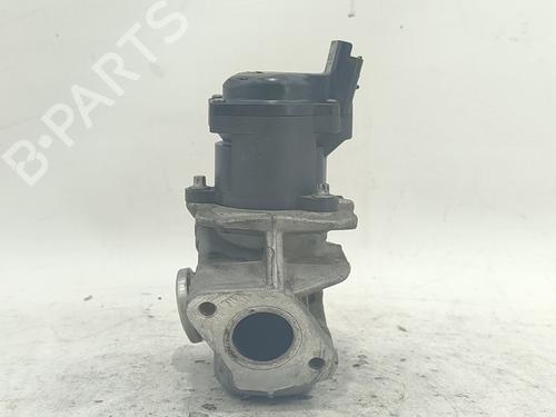 Egr Egr 38311196 38311196
