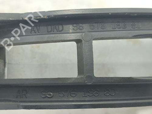Rear left exterior door handle PEUGEOT 307 SW (3H) 2.0 HDi 135 | BP29361113C130 