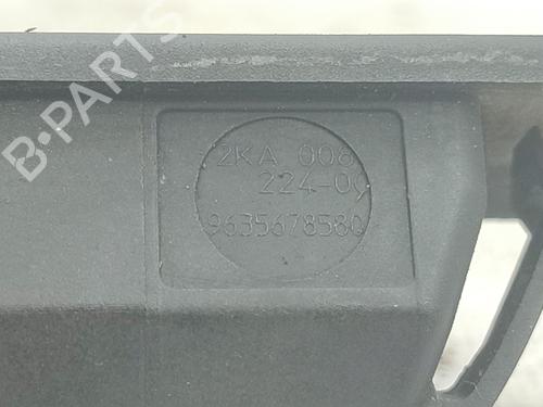 Nummerpladelys CITROËN C4 Picasso I MPV (UD_) 2.0 HDi 138 | BP30686023I40