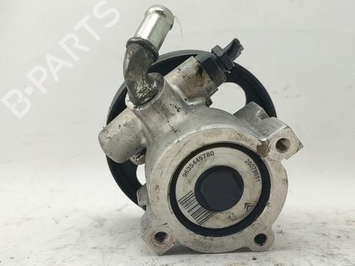 Steering pump PEUGEOT 306 Break (7E, N3, N5) 2.0 HDI 90 | BP30876753M99