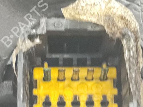 Left mirror RENAULT MEGANE II (BM0/1_, CM0/1_) 1.9 dCi (BM0G, CM0G) | BP31017881C26