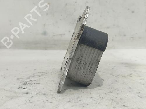 Oliekøler FIAT PUNTO EVO (199_) 1.3 D Multijet | BP25882786M33 