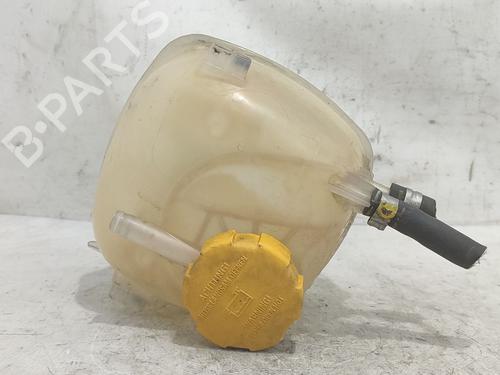 Used Expansion tank FIAT CROMA (194_) 1.9 D Multijet (194AXB1B) (120 hp) 23075897