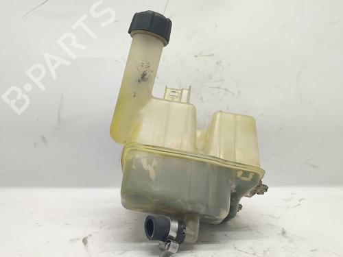 Used Expansion tank RENAULT LAGUNA II (BG0/1_) 1.9 dCi (BG08, BG0G) (120 hp) 25790554
