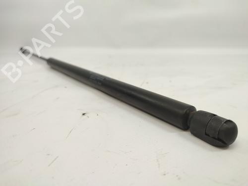 Hood lift support MERCEDES-BENZ S-CLASS (W220) S 500 4-matic (220.084, 220.184) | BP14325331C139 