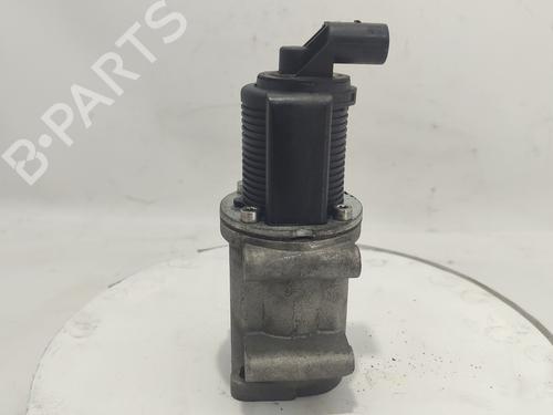 Egr FIAT BRAVO II (198_) 1.9 D Multijet (198AXB1A) | BP20105960M69 