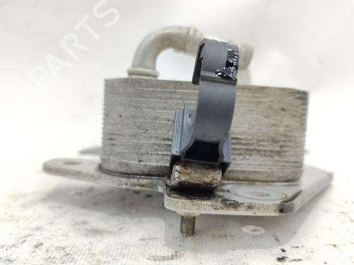 Oil radiator MITSUBISHI OUTLANDER II (CW_W) 2.2 DI-D | BP30055899M33 