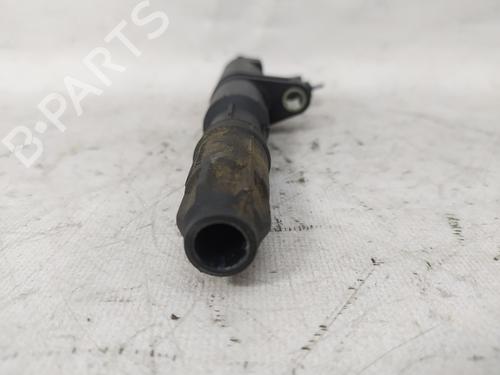 Ignition coil RENAULT MEGANE II (BM0/1_, CM0/1_)  | BP12341237M94 