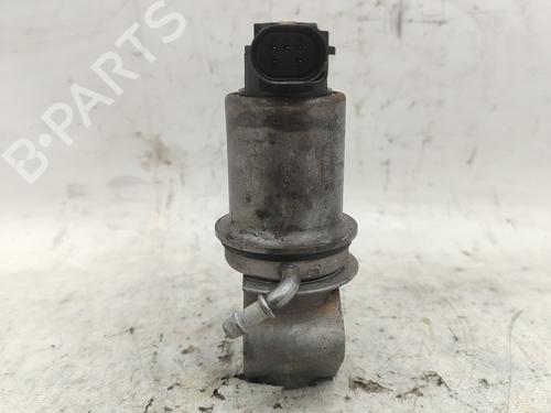 Egr SEAT IBIZA III (6L1)  | BP18676475M69 