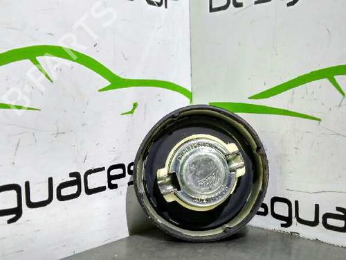 Fuel flap MERCEDES-BENZ E-CLASS (W210)  | BP10266649C131 