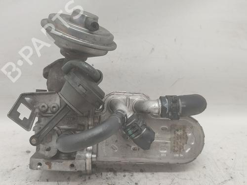 Egr VW PHAETON (3D1, 3D2, 3D3, 3D4, 3D6, 3D7, 3D8, 3D9) 3.0 V6 TDI 4motion 059131503H
