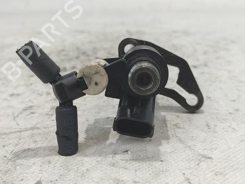 Injector LAND ROVER RANGE ROVER SPORT I (L320)  | BP16952111M100 