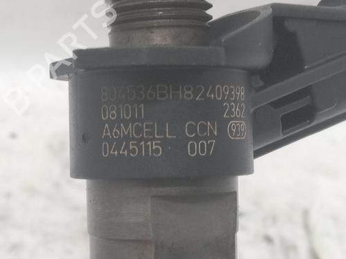 Injector NISSAN QASHQAI / QASHQAI +2 I (J10, NJ10, JJ10E) 2.0 dCi | BP26614399M100 
