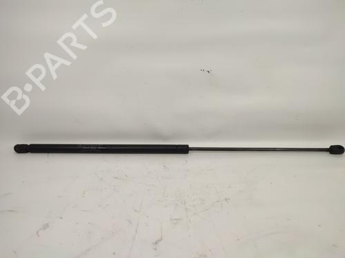 Used Hood lift support MERCEDES-BENZ S-CLASS (W220) S 500 4-matic (220.084, 220.184) (306 hp) 14325331