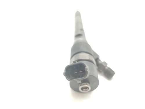 Injector CHEVROLET CAPTIVA (C100, C140) 2.0 D 4WD | BP31315451M100