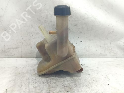 Used Expansion tank RENAULT LAGUNA II (BG0/1_) 1.9 dCi (BG08, BG0G) (120 hp) 27618585