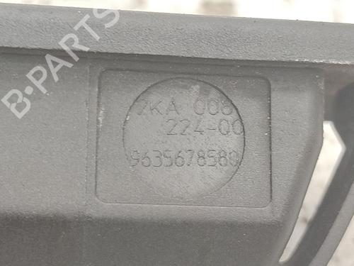 Nummerpladelys CITROËN C4 Picasso I MPV (UD_) 2.0 HDi 138 | BP30686386I40