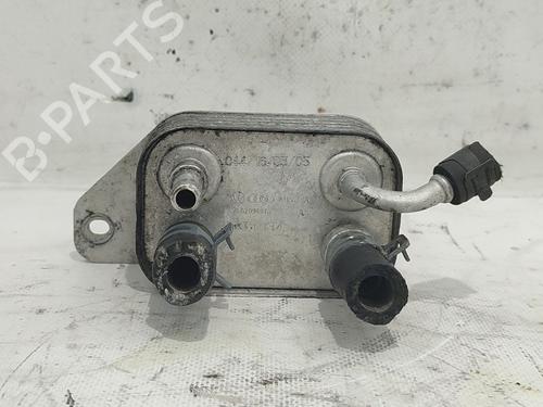 Used Oil radiator VW TOUAREG (7LA, 7L6, 7L7) 2.5 R5 TDI (174 hp) 25447072