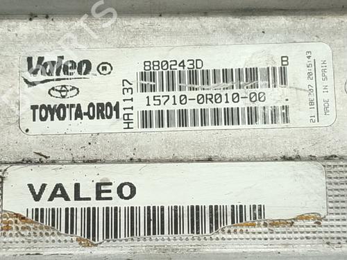 Oil radiator TOYOTA AVENSIS Estate (_T25_) 2.2 D-4D (ADT251_, ADT251R) | BP29921292M33