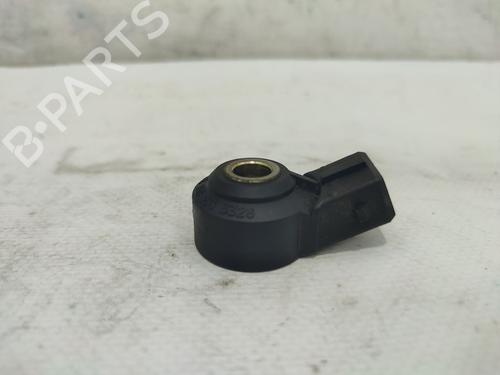 Electronic sensor SSANGYONG RODIUS I 2.7 Xdi | BP26220813M84 
