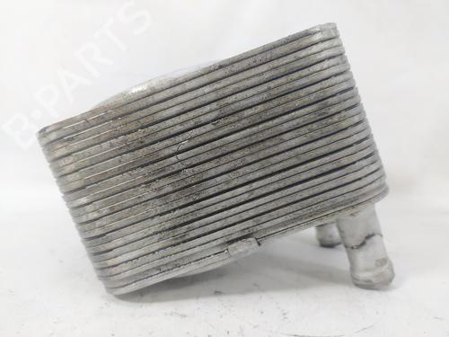 Oliekøler VW PASSAT B6 (3C2)  | BP14324968M33 