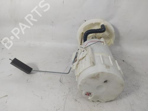 Fuel pump RENAULT MEGANE II (BM0/1_, CM0/1_)  | BP12341220M76 