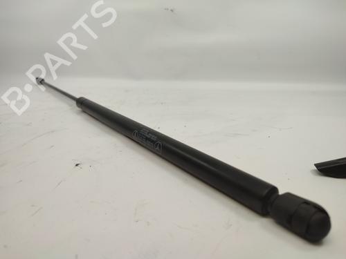 Hood lift support MERCEDES-BENZ S-CLASS (W220) S 500 4-matic (220.084, 220.184) | BP14325328C139 