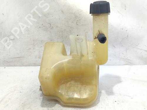 Used Expansion tank RENAULT LAGUNA II (BG0/1_) 1.9 dCi (BG0R, BG0E) (100 hp) 26587438