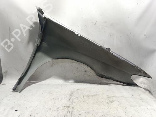 Left front fenders CITROËN XSARA (N1) 1.6 i | BP24916489C41 
