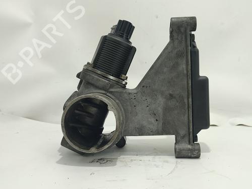 Egr RENAULT AVANTIME (DE0_) 2.2 dCi (DE01) | BP28211469M69 
