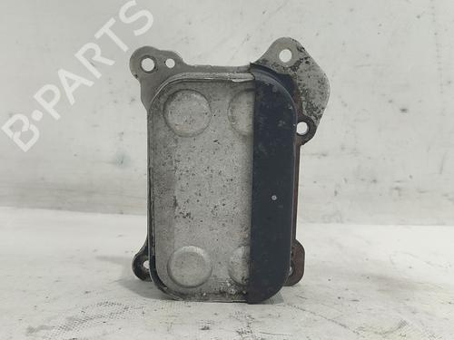 Used Oil radiator FIAT PUNTO EVO (199_) 1.3 D Multijet (84 hp) 25882786