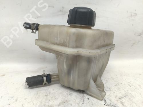 Expansion tank NISSAN QASHQAI / QASHQAI +2 I (J10, NJ10, JJ10E) 2.0 dCi | BP26613558C120 