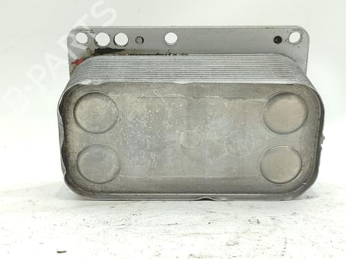 Used Oil radiator RENAULT LAGUNA II (BG0/1_) [2001-2007]  29195066