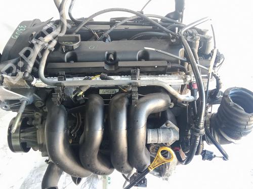 Engine FORD FOCUS I Saloon (DFW)  | BP27612283M1 