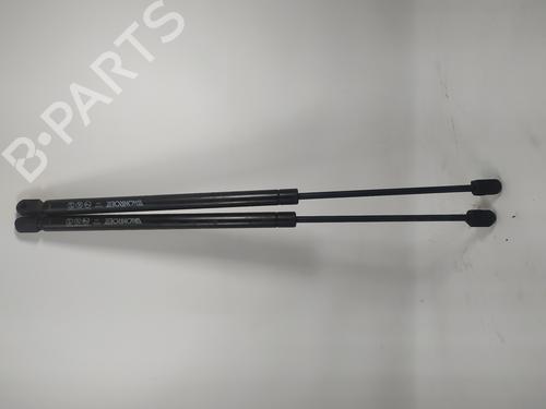 Used Hood lift support VW TOUAREG (7LA, 7L6, 7L7) 3.0 V6 TDI (225 hp) 14324481