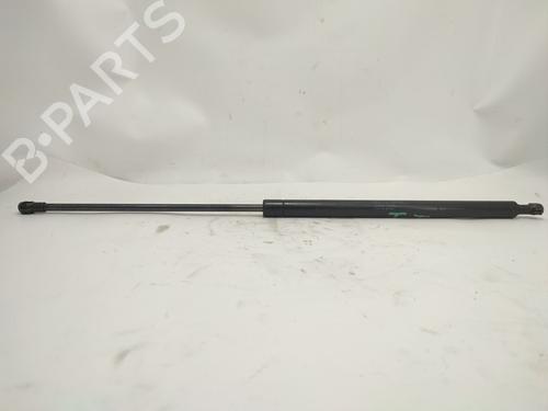 Used Tailgate lift support RENAULT LAGUNA II (BG0/1_) 1.9 dCi (BG08, BG0G) (120 hp) 30202703