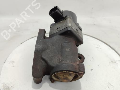 Egr NISSAN PRIMERA Hatchback (P12)  | BP18675605M69 