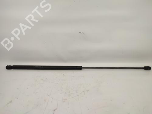 Used Hood lift support MERCEDES-BENZ S-CLASS (W220) S 500 4-matic (220.084, 220.184) (306 hp) 14325328