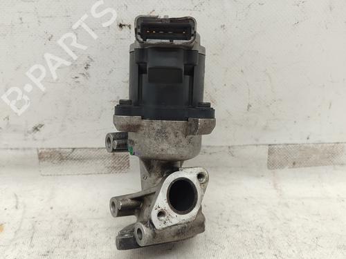 Egr JAGUAR S-TYPE II (X200) 2.7 D | BP21596907M69 