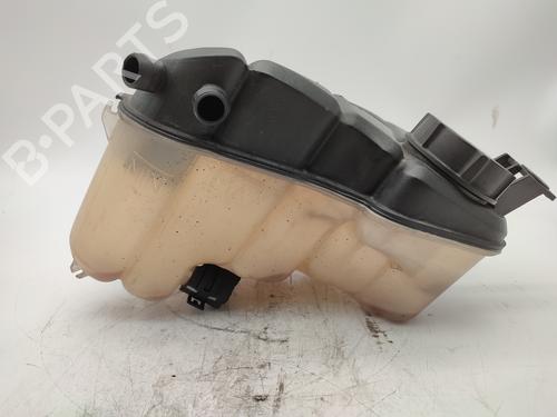 Expansion tank FORD MONDEO IV (BA7) 2.0 TDCi | BP13515226C120 
