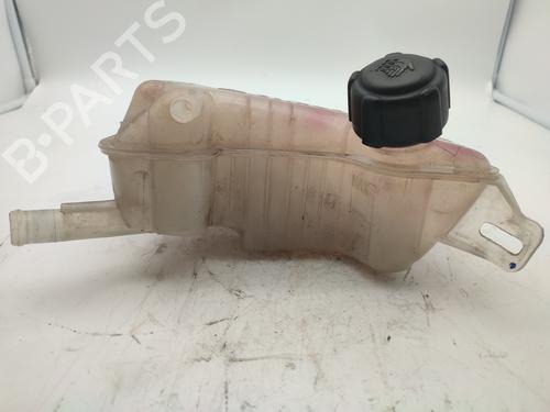 Ekspansjonstank RENAULT SCÉNIC II (JM0/1_) [2003-2010]  13448703