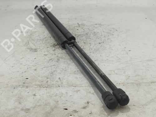 Used Tailgate lift support LAND ROVER RANGE ROVER SPORT I (L320) [2005-2013]  16952227