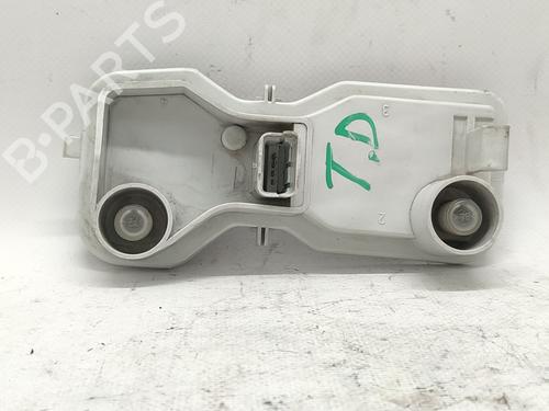 Used Lamp holder RENAULT MEGANE II (BM0/1_, CM0/1_) [2001-2012]  30149942