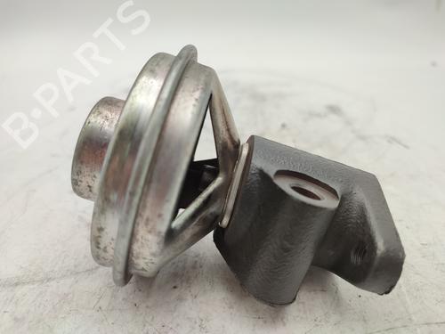 Egr NISSAN PRIMERA (P11)  | BP13709395M69 
