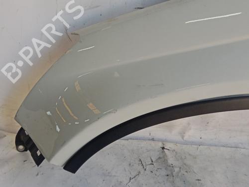 Left front fenders HONDA CR-V III (RE_) 2.2 i-CTDi 4WD (RE6) | BP29892095C41