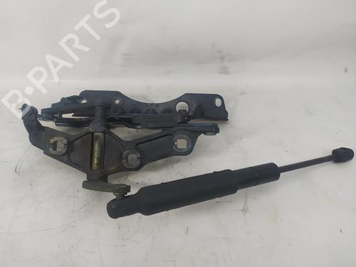 Hinge/Door check strap MERCEDES-BENZ S-CLASS (W221, V221) S 320 CDI (221.022, 221.122) | BP14324796C146 