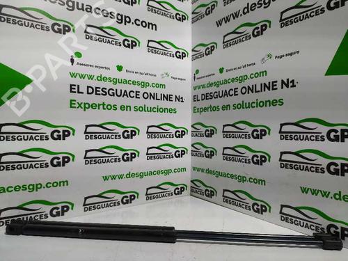 Used Hood lift support VW TOUAREG (7LA, 7L6, 7L7) 5.0 V10 TDI (313 hp) 14324109