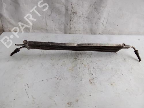 Oliekøler LAND ROVER RANGE ROVER SPORT I (L320)  | BP16952047M33 