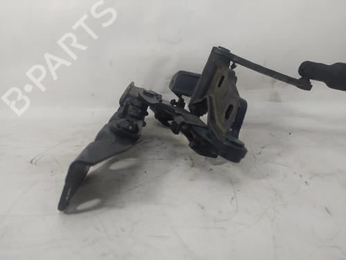 Hinge/Door check strap MERCEDES-BENZ S-CLASS (W221, V221) S 320 CDI (221.022, 221.122) | BP14324796C146 